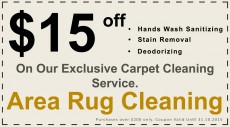 Rug Cleaning Coupon